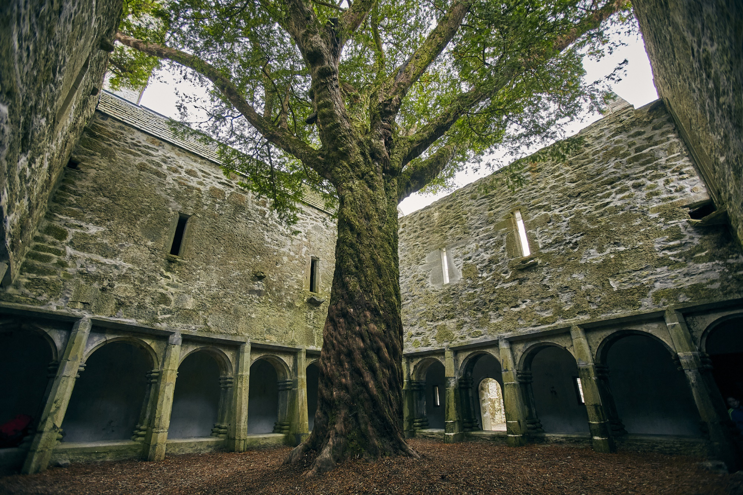 Medieval Courtyard - KEY FACTORS TO CONSIDER WHEN RESTORING A MEDIEVAL BUILDING